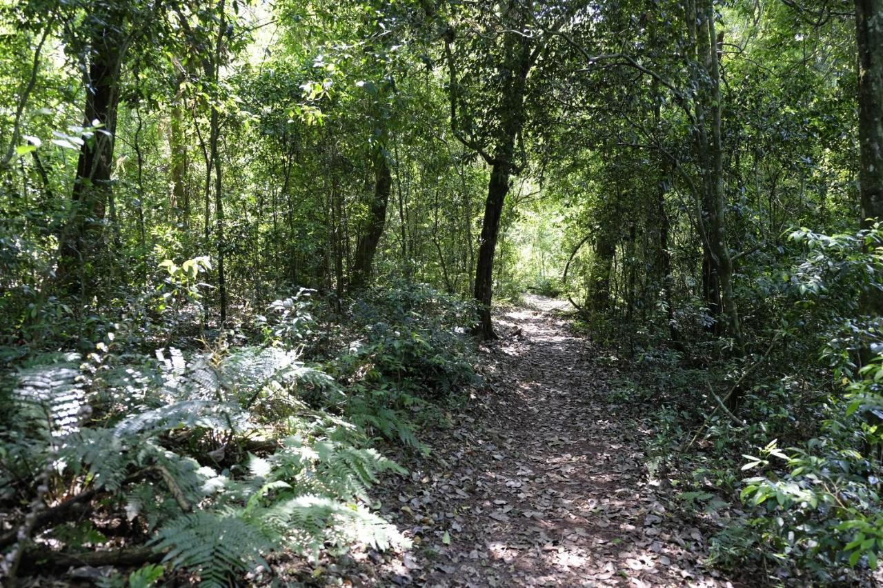 Reserva La Mision Mocona - Solo Adultos Saltos del Moconá エクステリア 写真