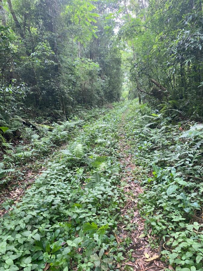 Reserva La Mision Mocona - Solo Adultos Saltos del Moconá エクステリア 写真