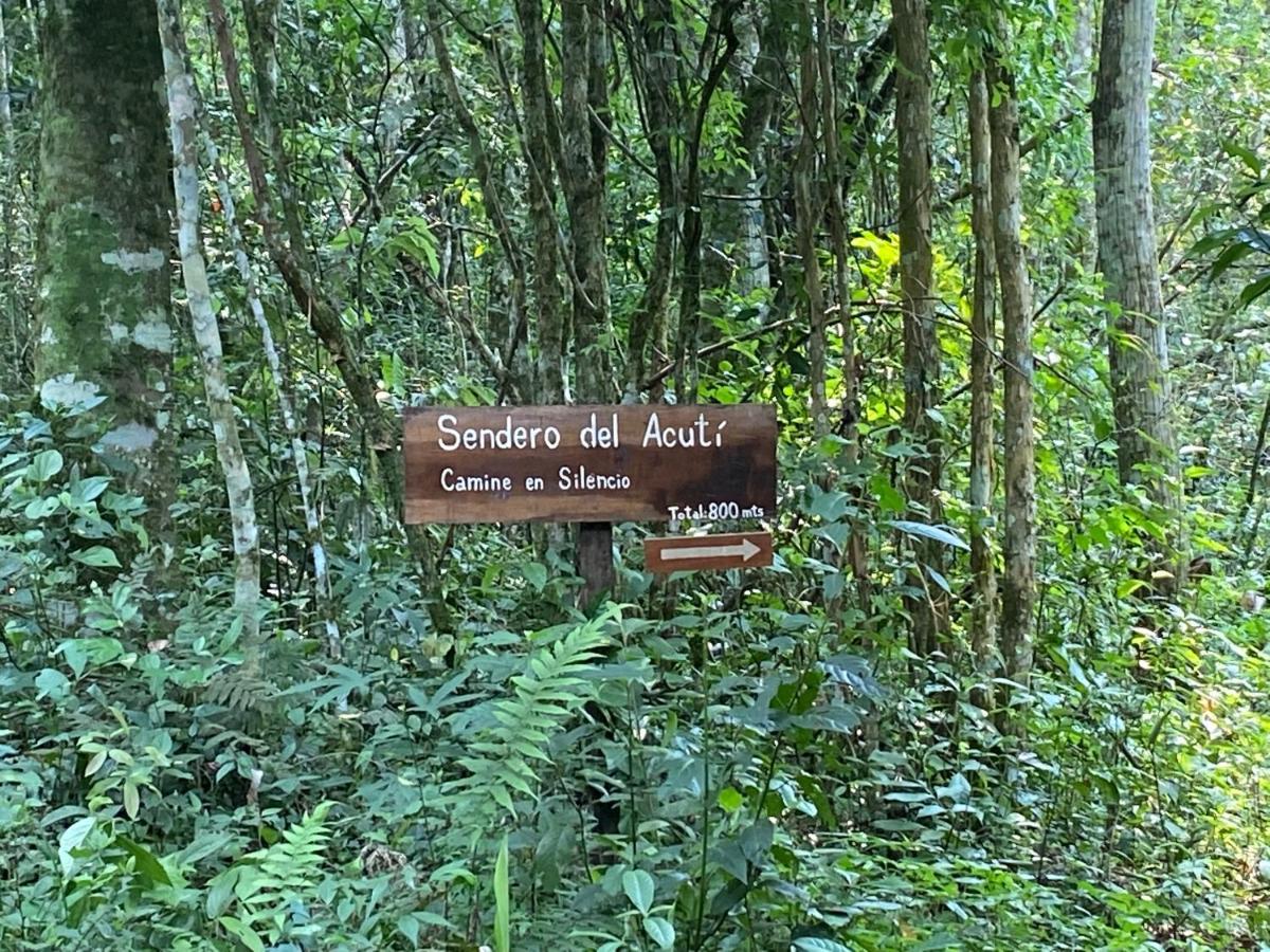 Reserva La Mision Mocona - Solo Adultos Saltos del Moconá エクステリア 写真