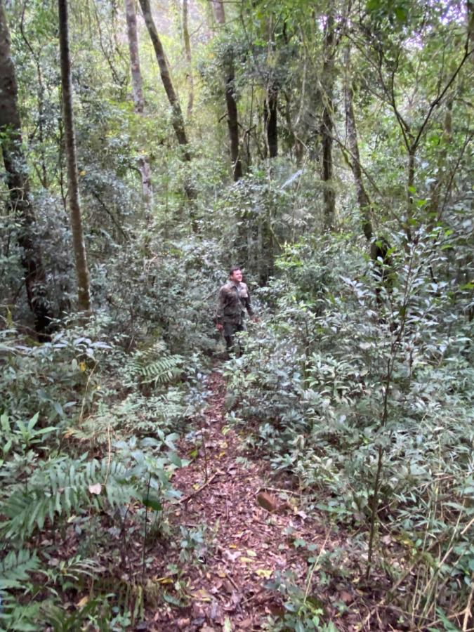 Reserva La Mision Mocona - Solo Adultos Saltos del Moconá エクステリア 写真